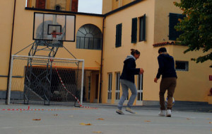 basket