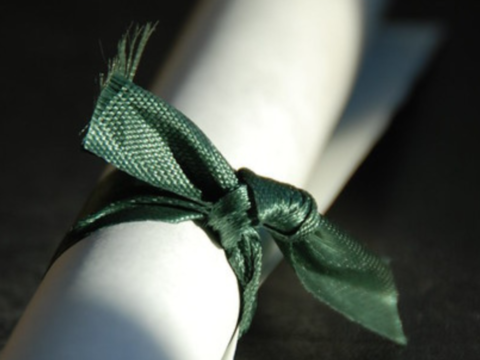 Pergamena arrotolata chiusa con un fiocco verde, simbolo di un diploma