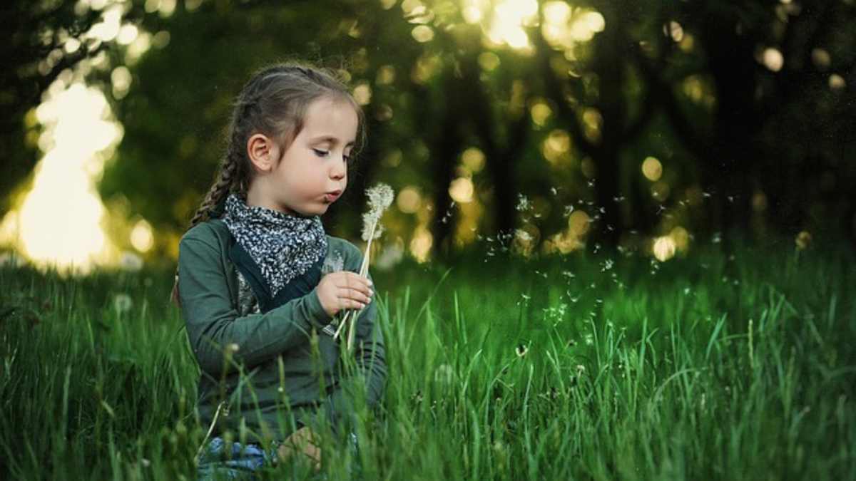 Bambina soffia su un soffione in un prato erboso