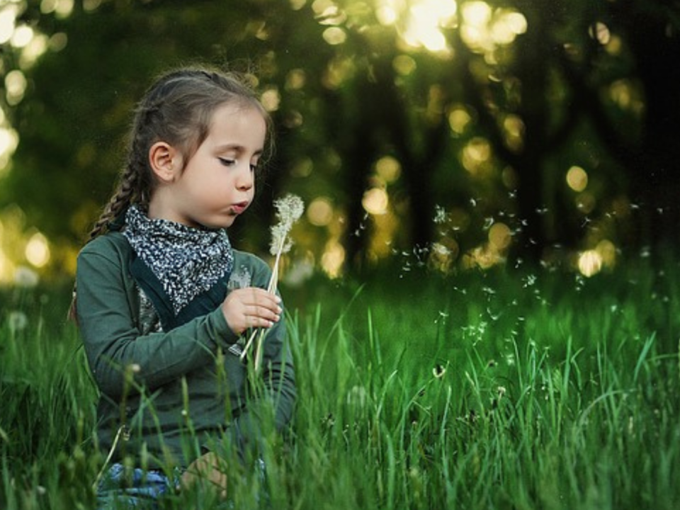 Bambina soffia su un soffione in un prato erboso
