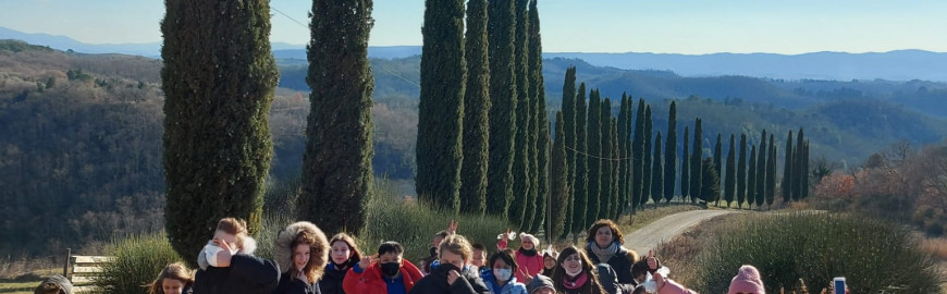 Gruppo di studenti in gita tra i cipressi della campagna toscana durante il progetto Feel Green
