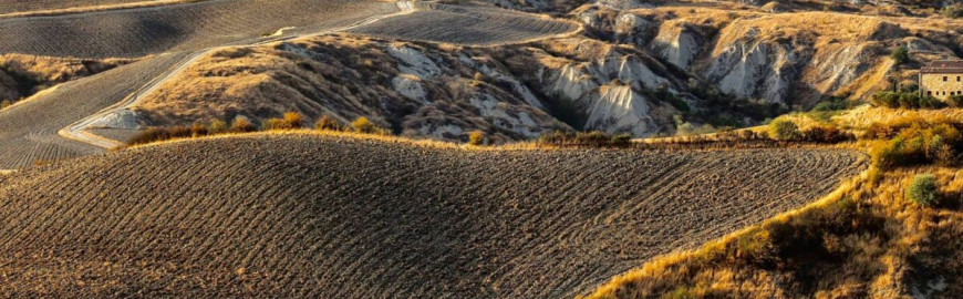 Paesaggio collinare delle Crete Senesi, con campi arati e casolari in Toscana