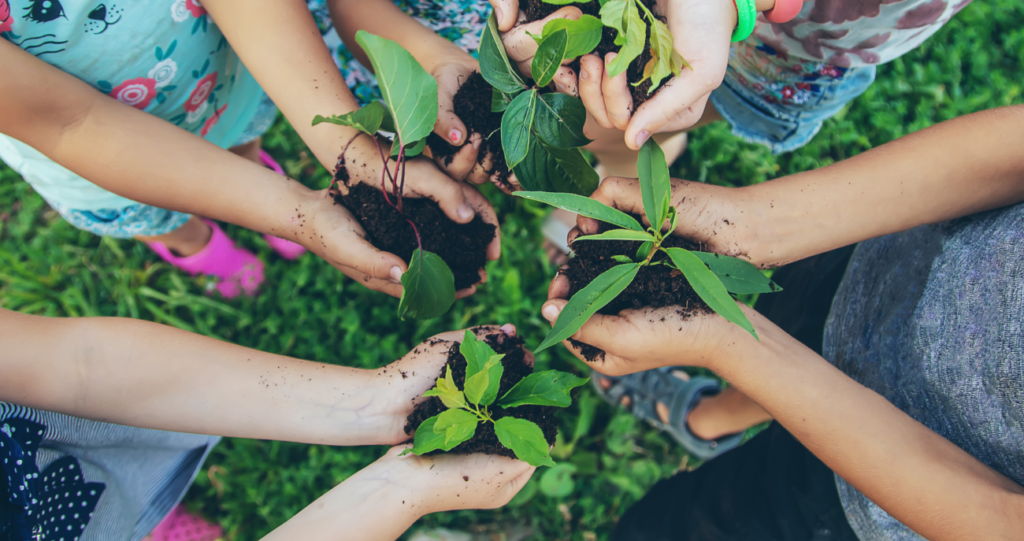 Bambini tengono tra le mani piccole piantine con la terra, all'aperto su un prato