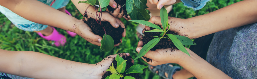 Bambini tengono tra le mani piccole piantine con la terra, all'aperto su un prato
